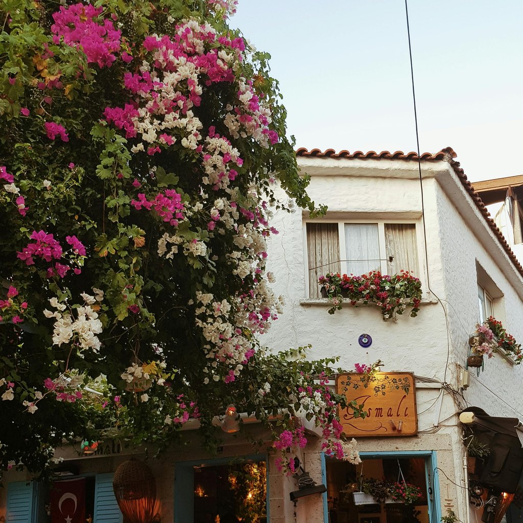 Colorful café with flowers and traditional decor in Alaçatı, İzmir, Türkiye. Captures vibrant street life.