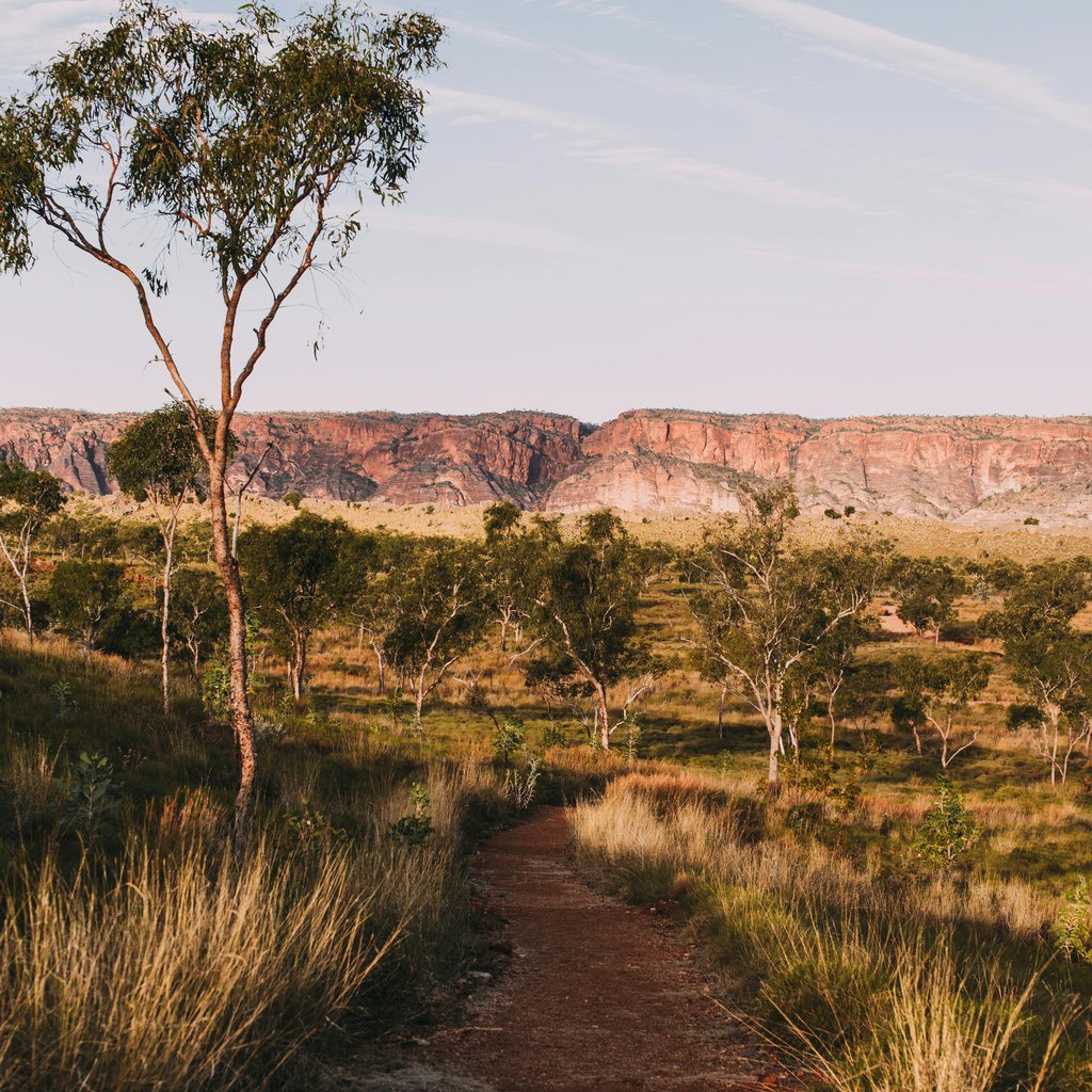 Picturesque landscape of empty way near grassy valley with green trees and hills on background under blue sky in daylight