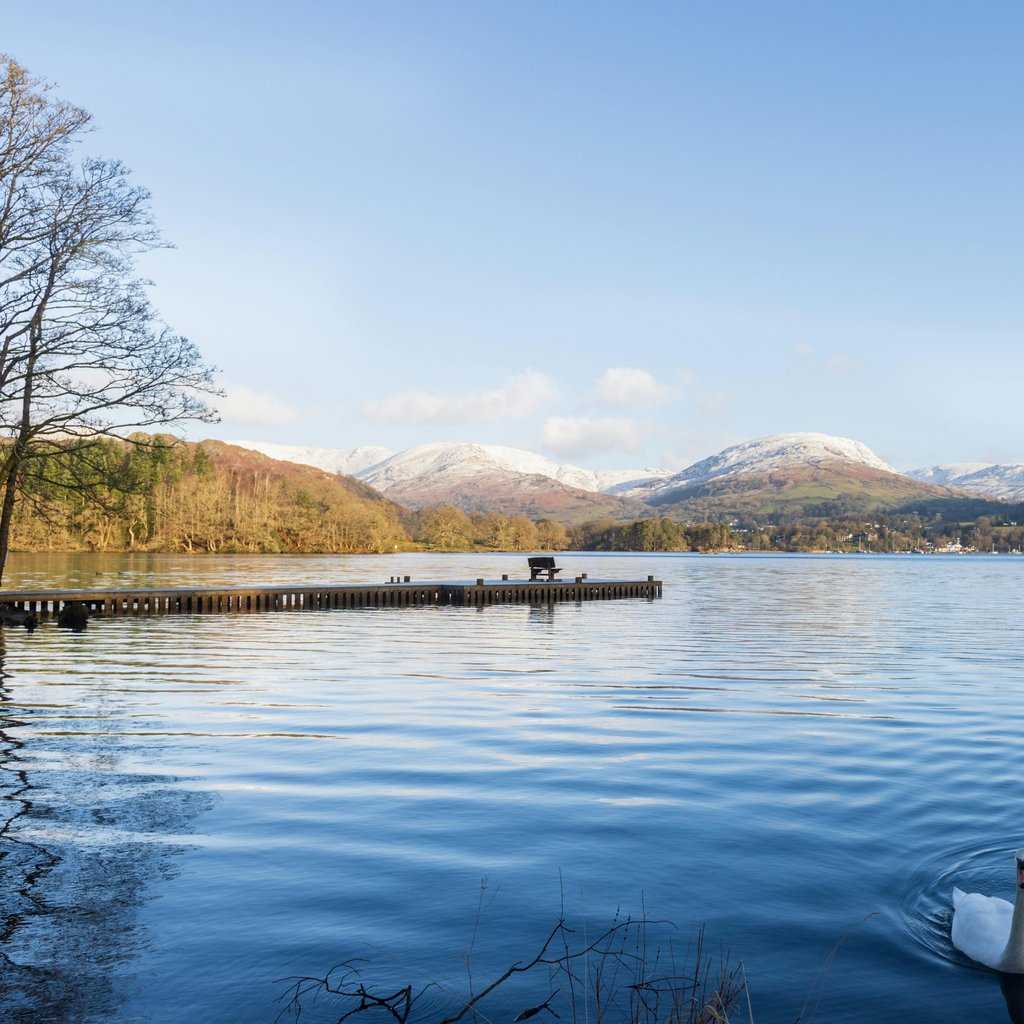Peaceful lake scene in Ambleside, England with swans and snowy mountains.