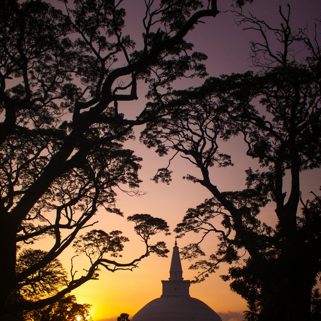 Discover the silhouette of the Ruwanweli Maha Seya pagoda framed by trees during a stunning Sri Lankan sunset.