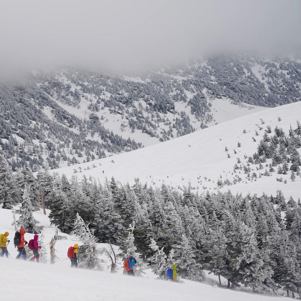Group of hikers trekking through snowy mountains in Aomori, Japan, amidst stunning winter scenery.