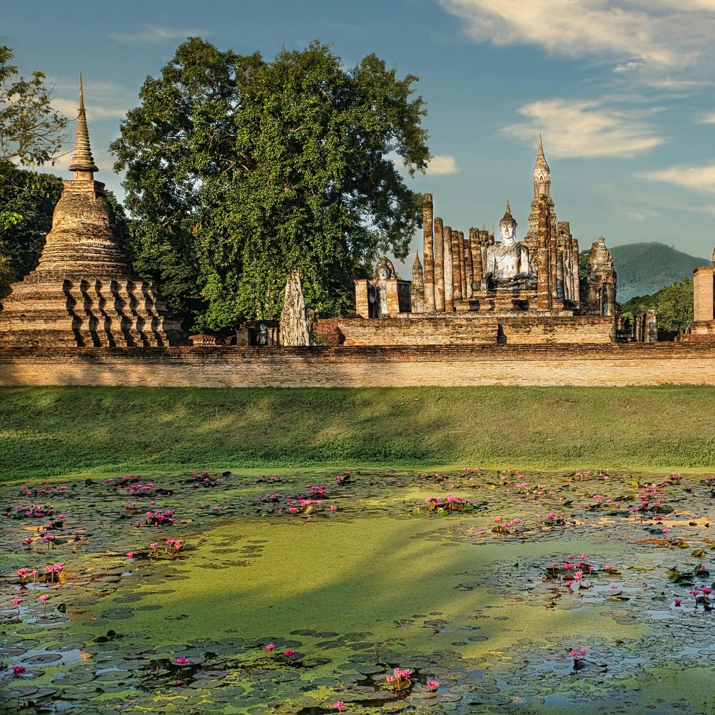 Serene view of ancient temples and blooming lotus pond in Sukhothai, Thailand.