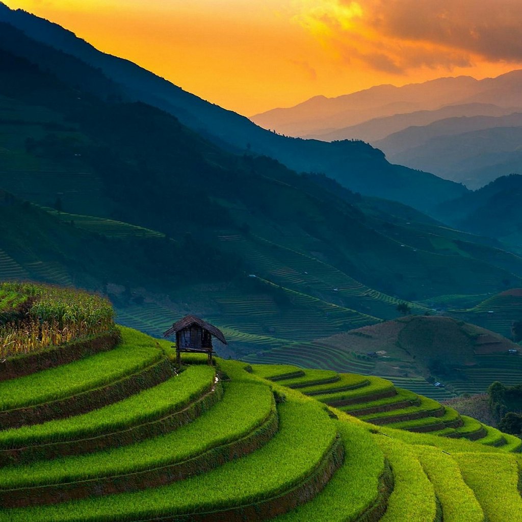 A breathtaking view of terraced rice fields in Đắk Ya at sunset with mountains.