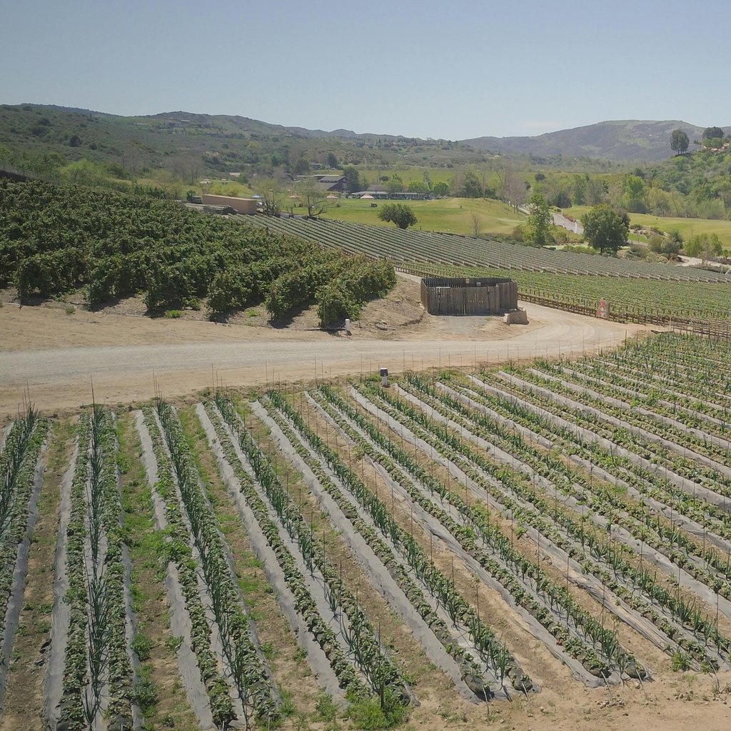 Stunning aerial view capturing expansive farmland with lush greenery and distant hills.