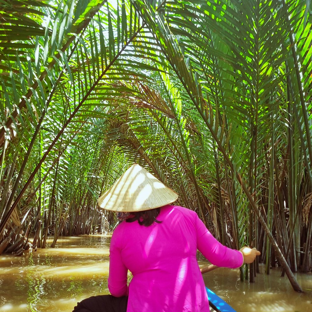 Woman rowing through lush palms in the Mekong Delta, Vietnam, on a traditional wooden boat.