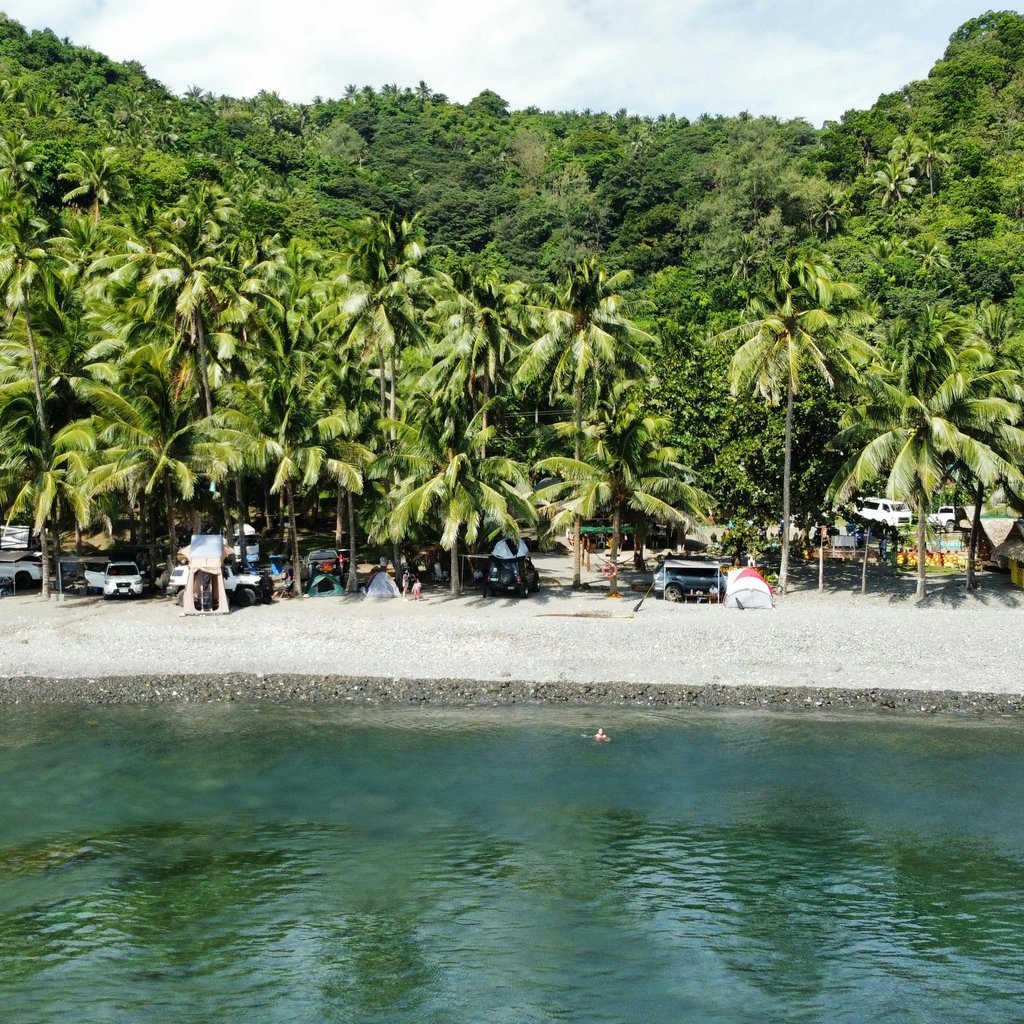 A serene beach lined with palm trees, tents, and clear water.