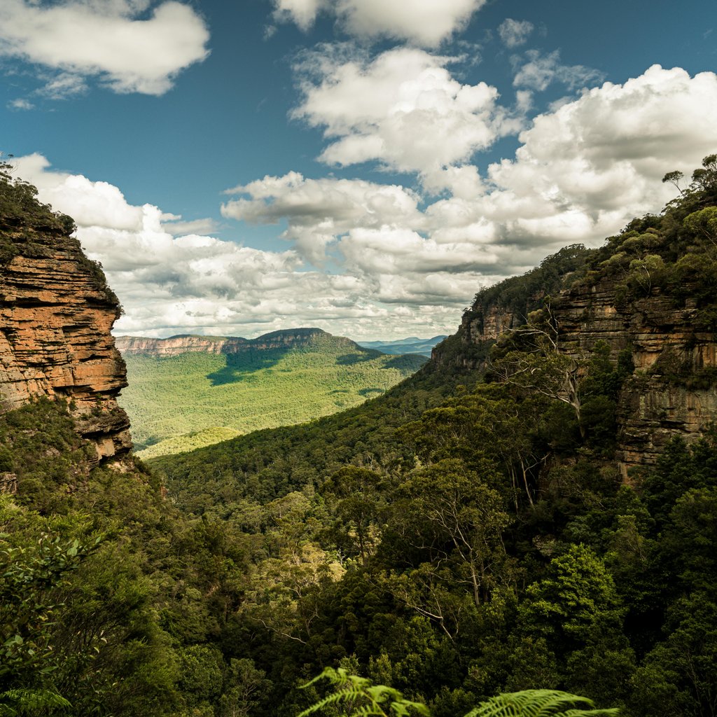 Stunning view of the Blue Mountains in NSW, Australia with lush greenery and dramatic cliffs.