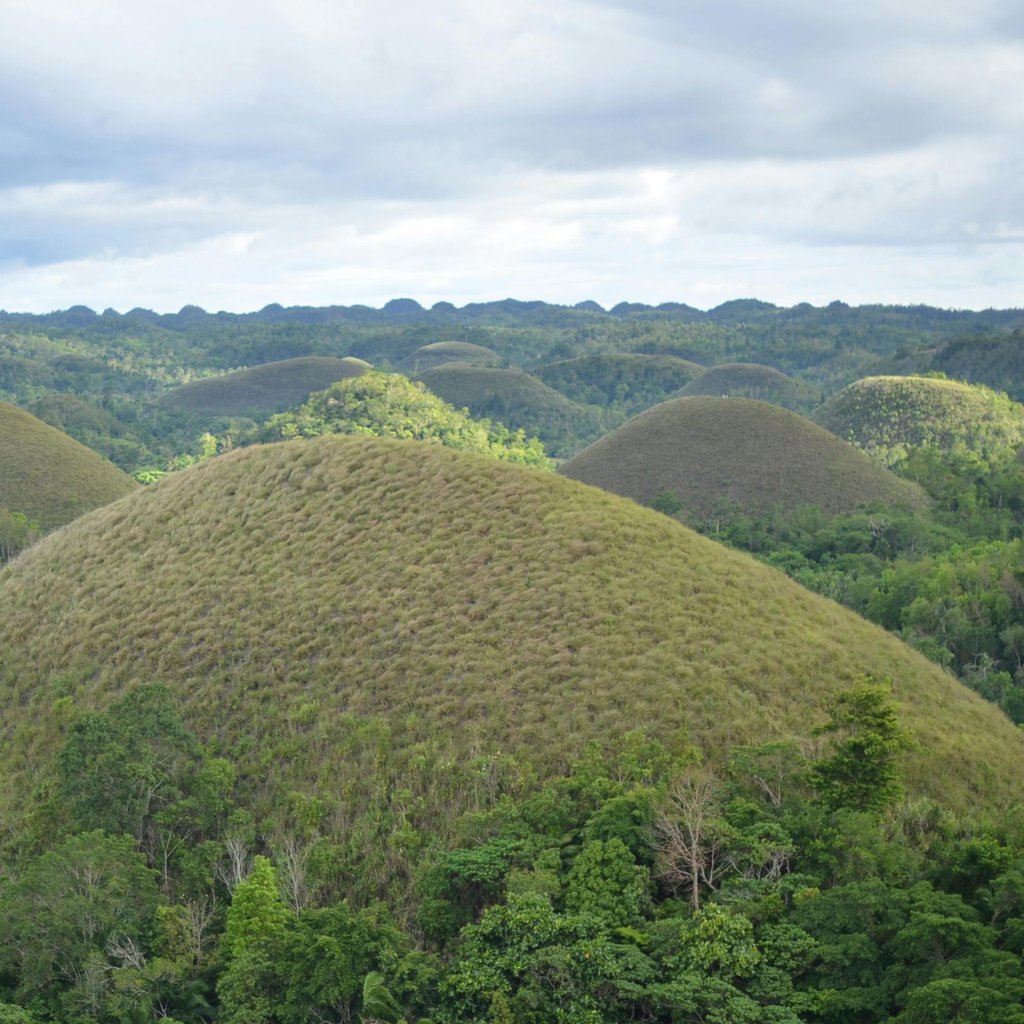 Stunning view of the unique Chocolate Hills in Bohol, Central Visayas, Philippines.