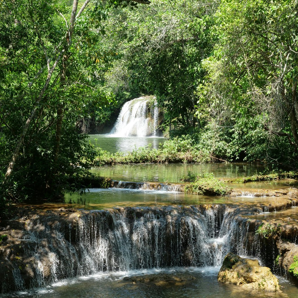 Beautiful waterfall in Bonito, Brazil surrounded by lush greenery.