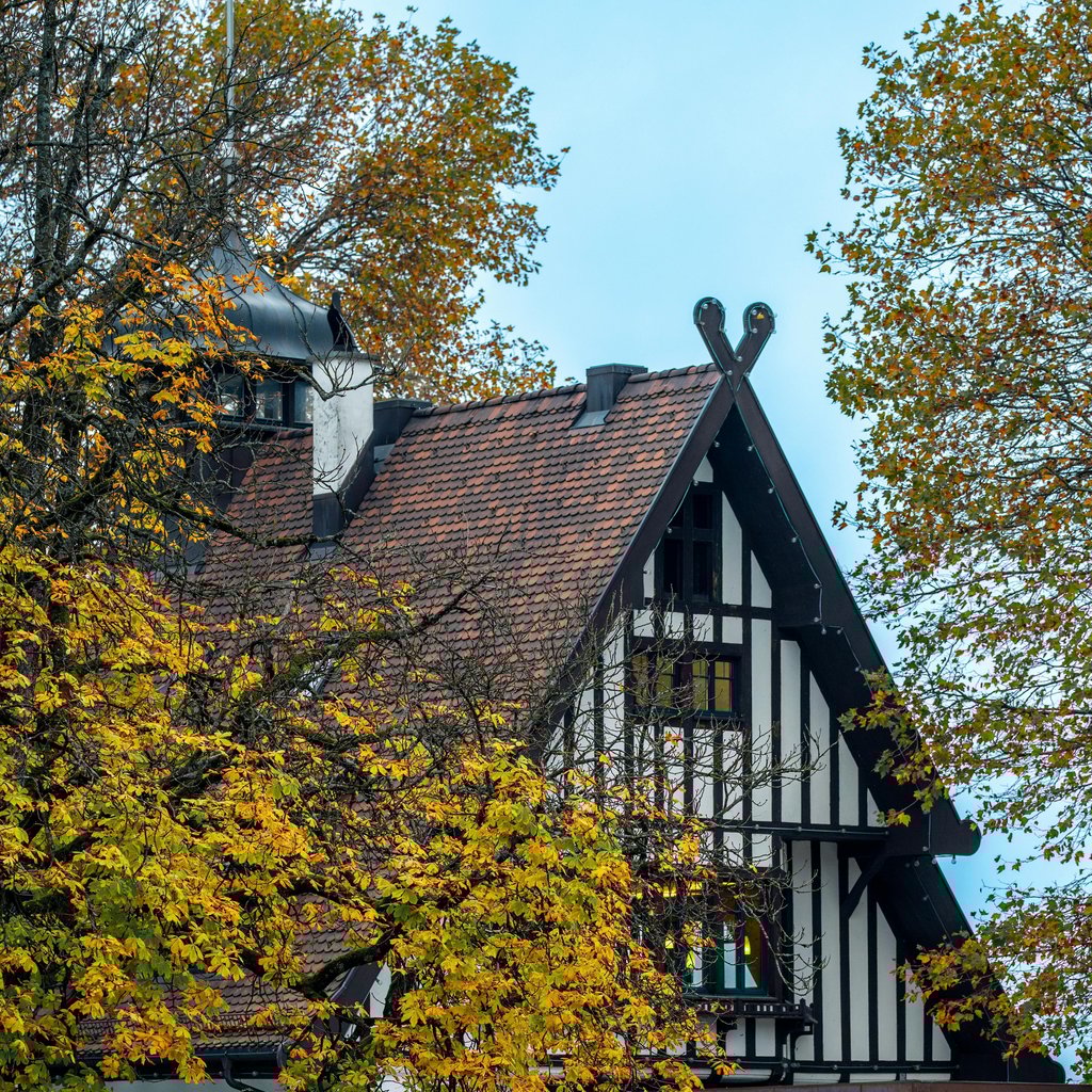 Picturesque autumn view of a historic building beside Lake Constance in Bregenz, Austria.