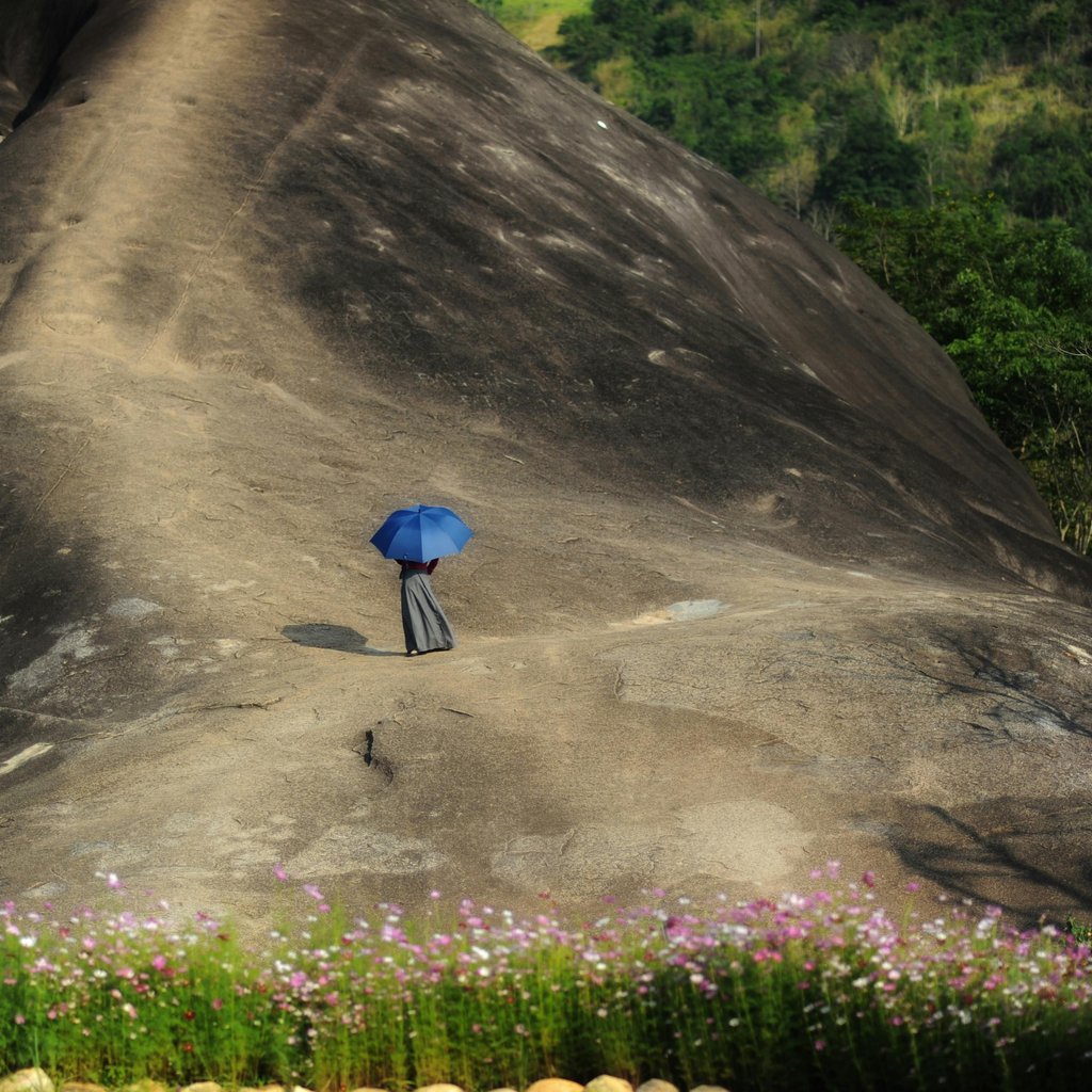 A solitary woman with a blue umbrella walks across rocky terrain surrounded by nature in Vietnam.