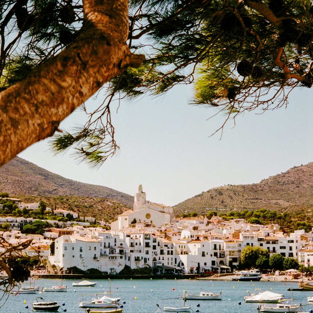 Scenic view of Cadaqués, Spain with boats on the sea framed by tree branches.