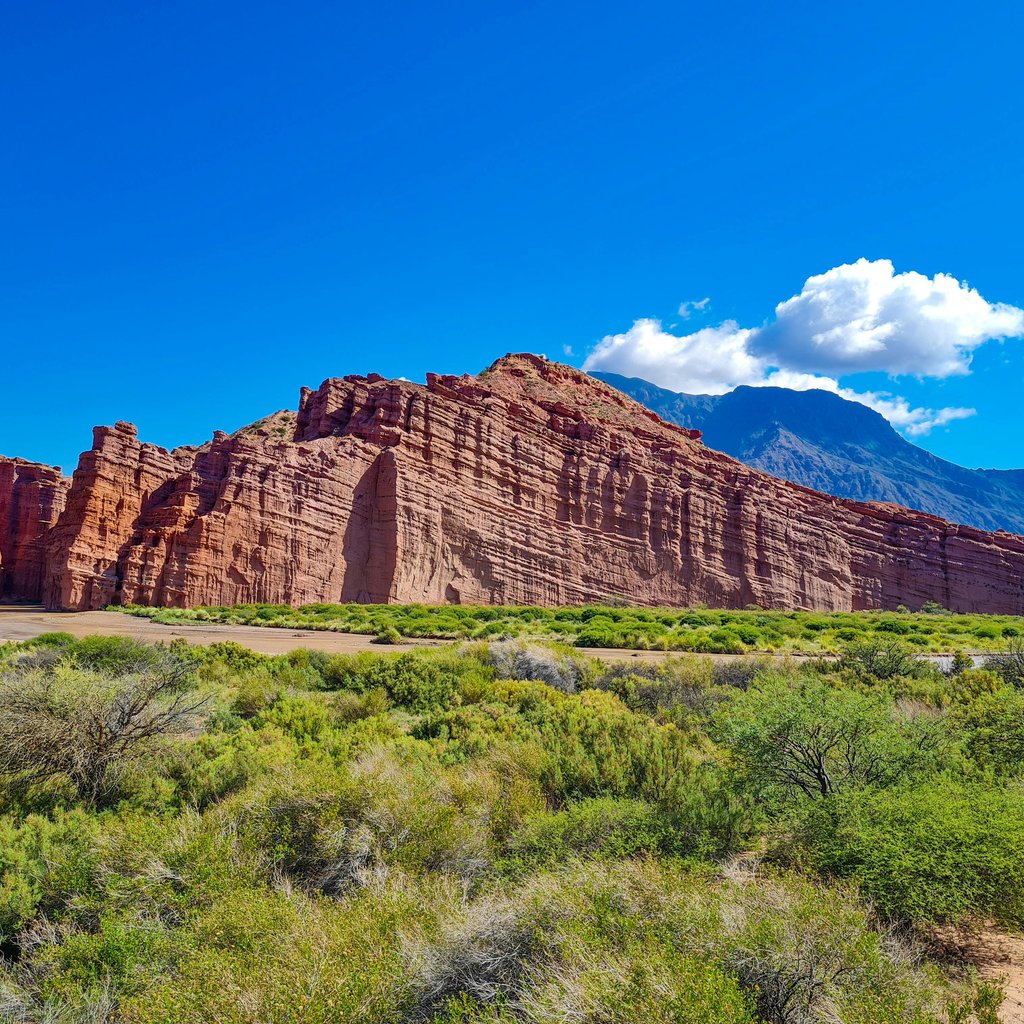 Explore the vibrant red rock formations and lush greenery under a clear blue sky in Salta, Argentina.