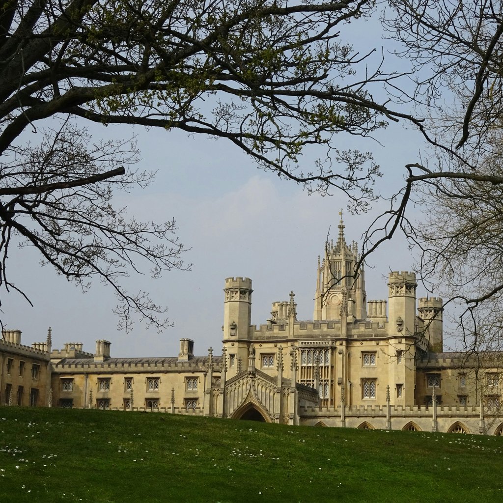 Majestic architecture of a college building in Cambridge, framed by trees.
