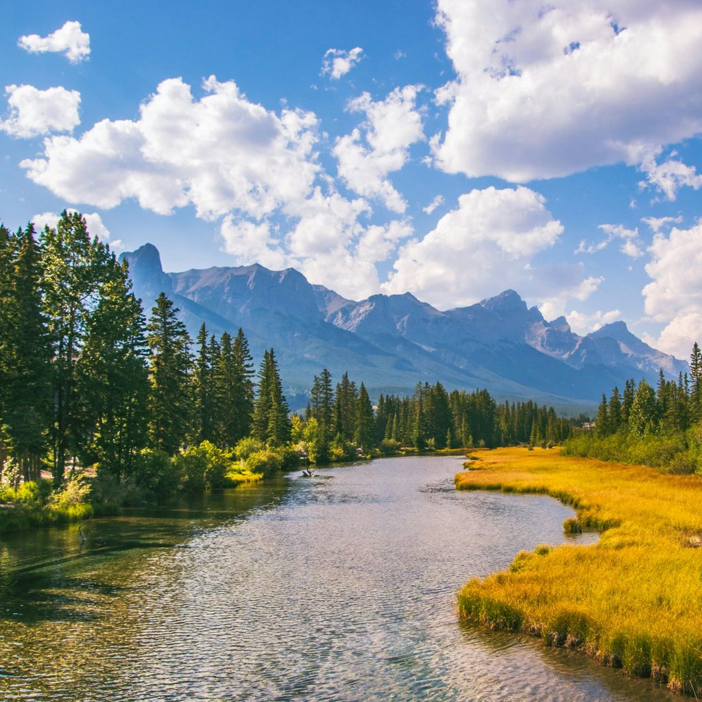 Stunning view of the Bow River with mountains and forest in Canmore, Alberta, Canada.