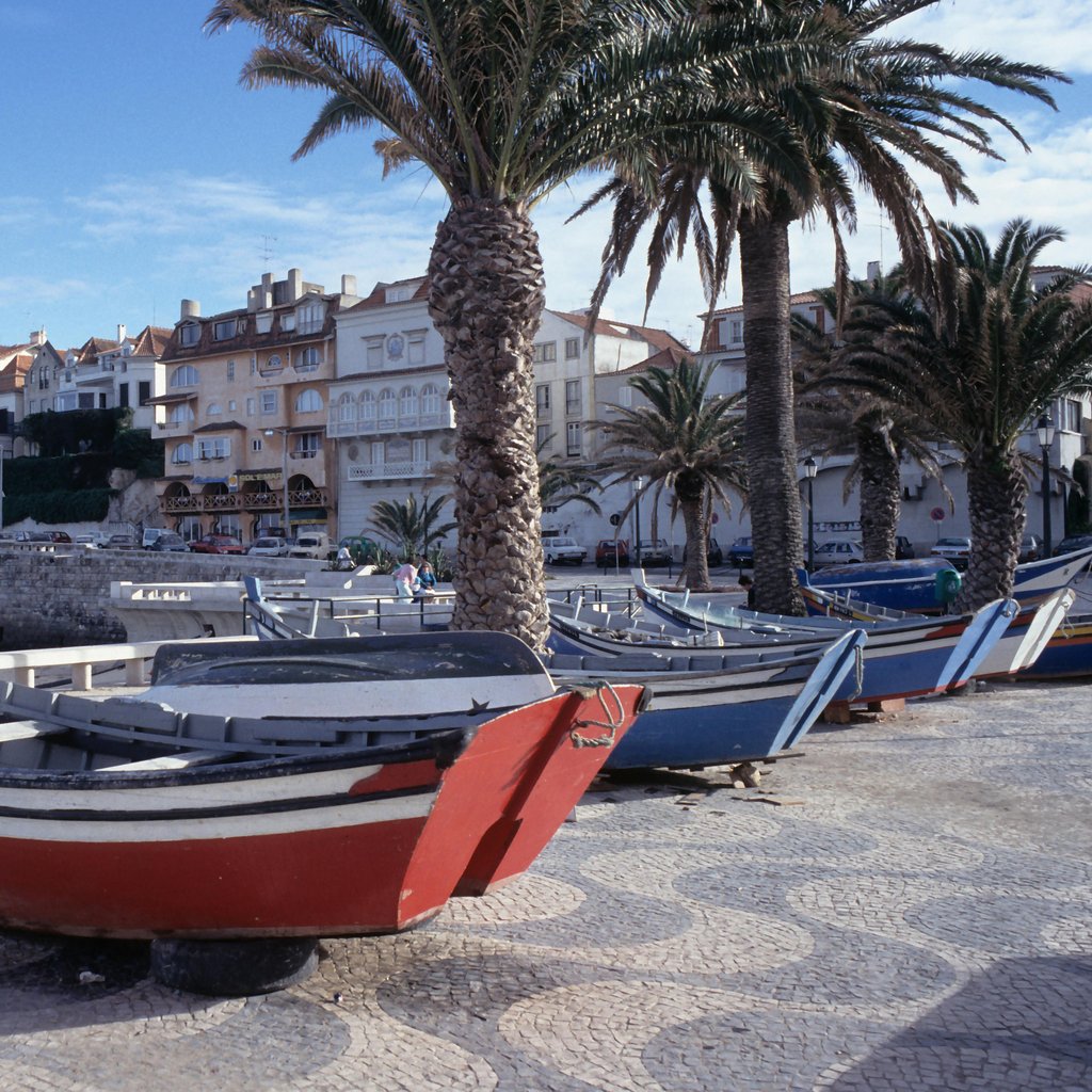 Charming coastal scene with colorful boats and palm trees in Cascais, Lisbon.