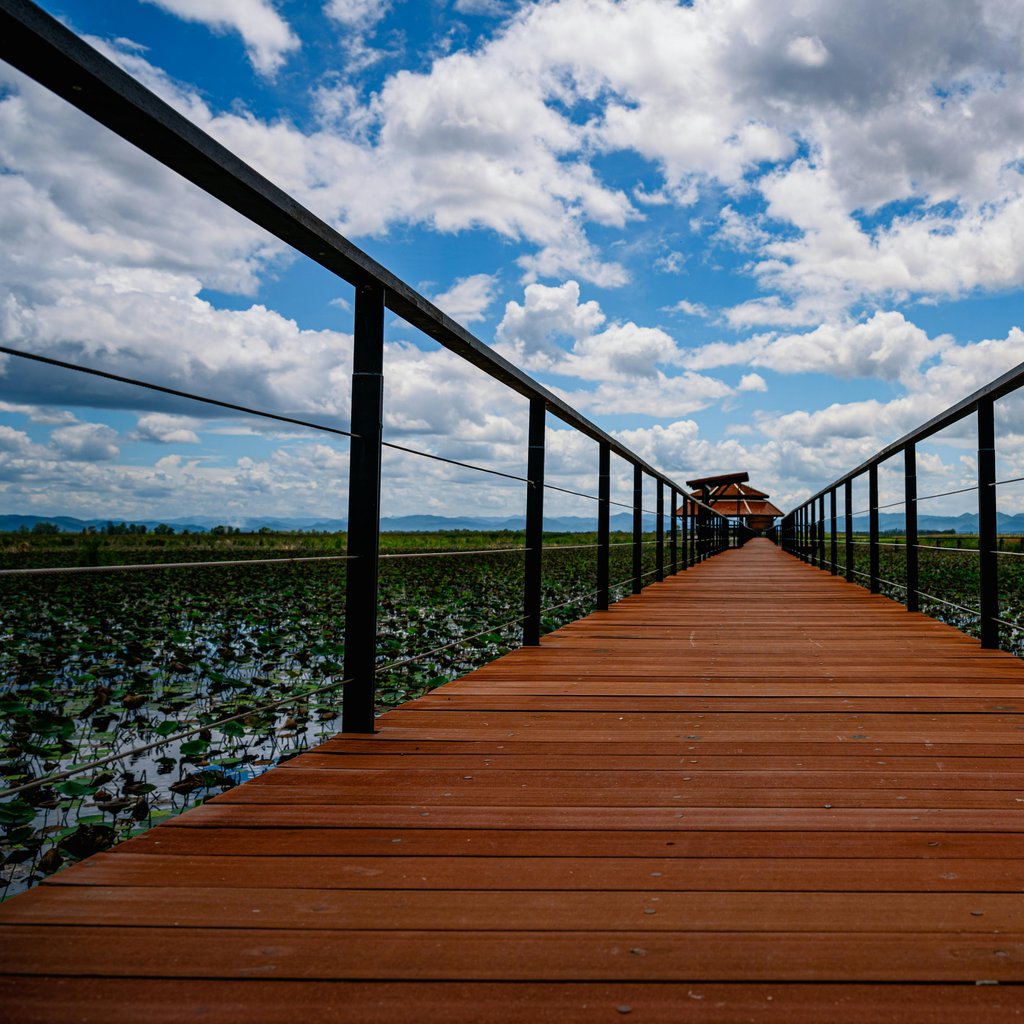 A tranquil wooden boardwalk in Thailand's Chumphon Province, surrounded by lush nature under a bright blue sky.