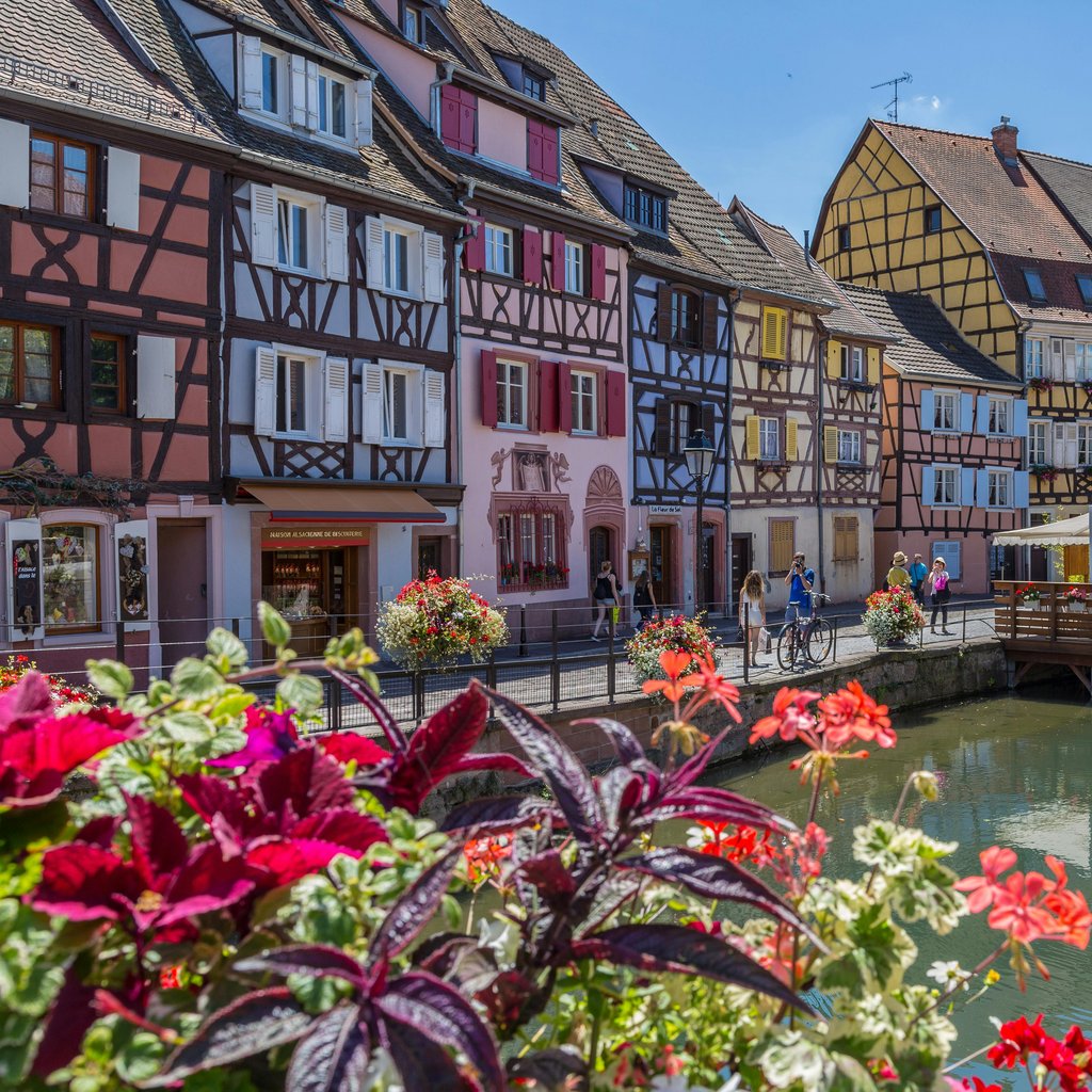 Colorful medieval houses along a canal in Colmar, France, with vibrant flowers and sunny skies.