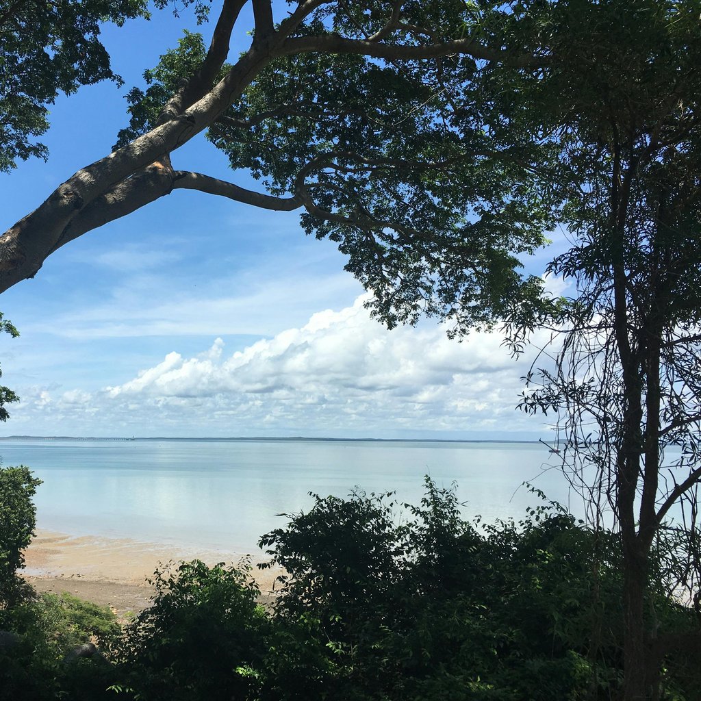 Tranquil beach scene with trees framing a serene ocean view in Darwin, Australia.