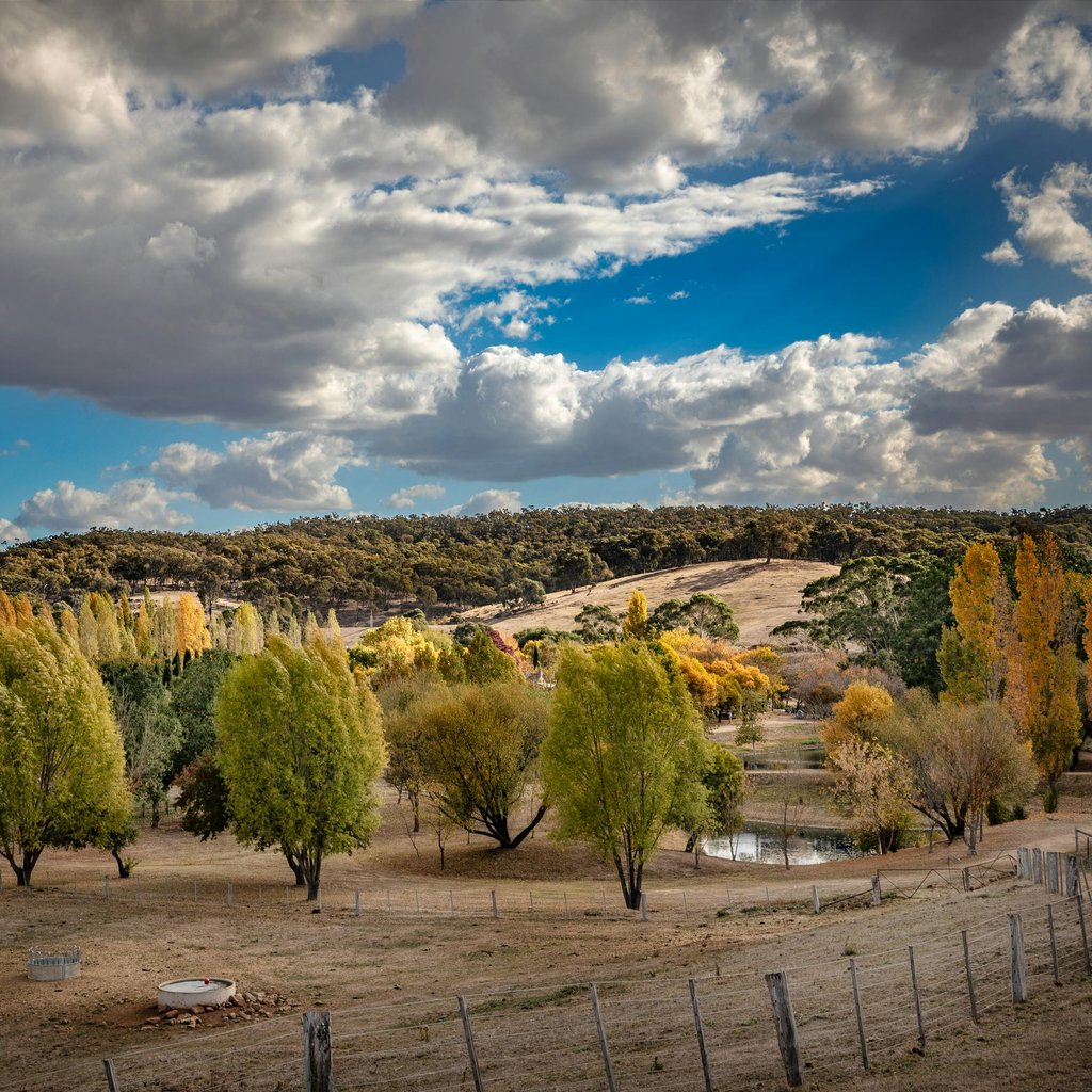 Experience the vibrant autumn colors and expansive skies in Daylesford, Victoria, Australia.