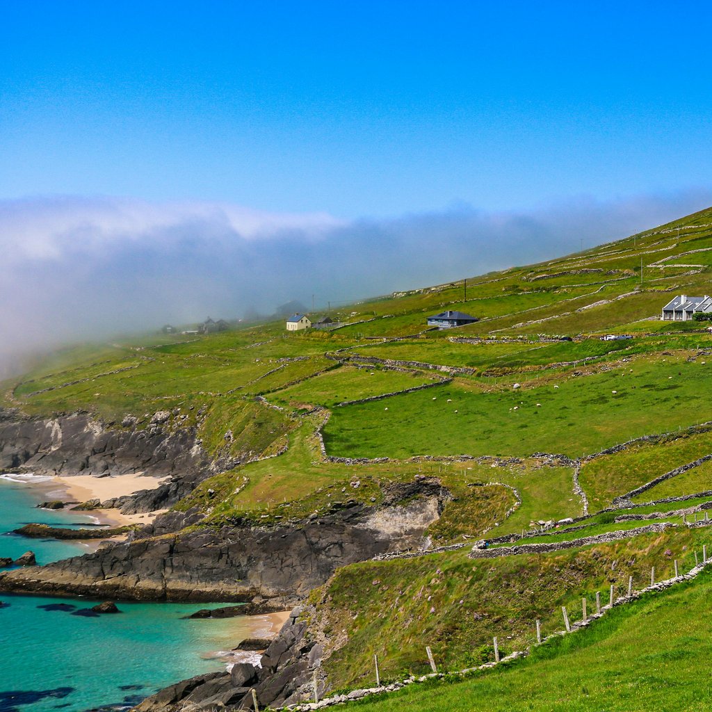 A breathtaking aerial view of the lush green hills and rocky coastline of Dingle Peninsula in Ireland.