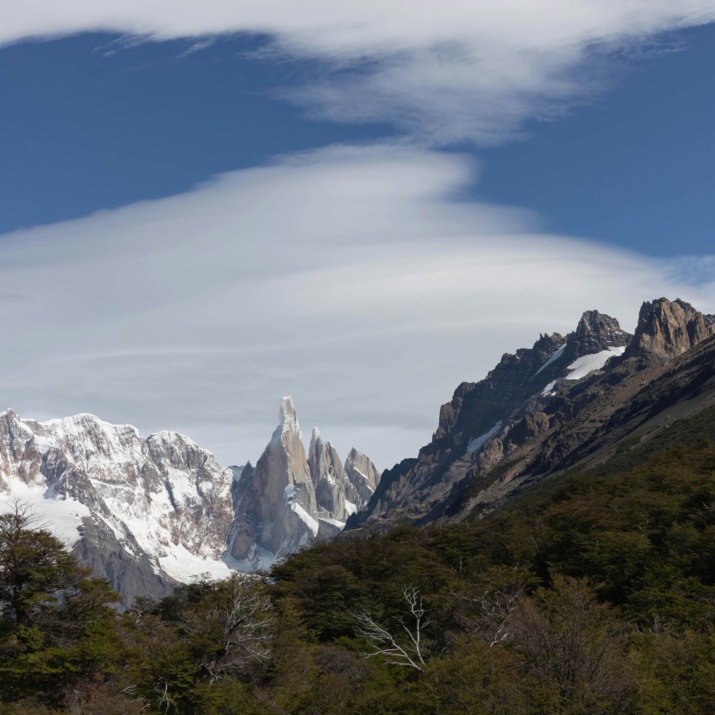 Dramatic view of Fitz Roy and Cerro Torre in Patagonia, Argentina, showcasing snow-capped peaks and dense forest.