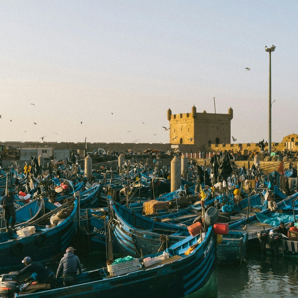 Colorful fishing boats moored in the bustling port of Essaouira, Morocco, with historic fortifications in view.