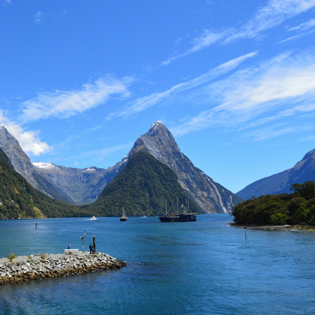 Stunning view of Milford Sound's scenic fjord with mountains and calm waters in New Zealand.