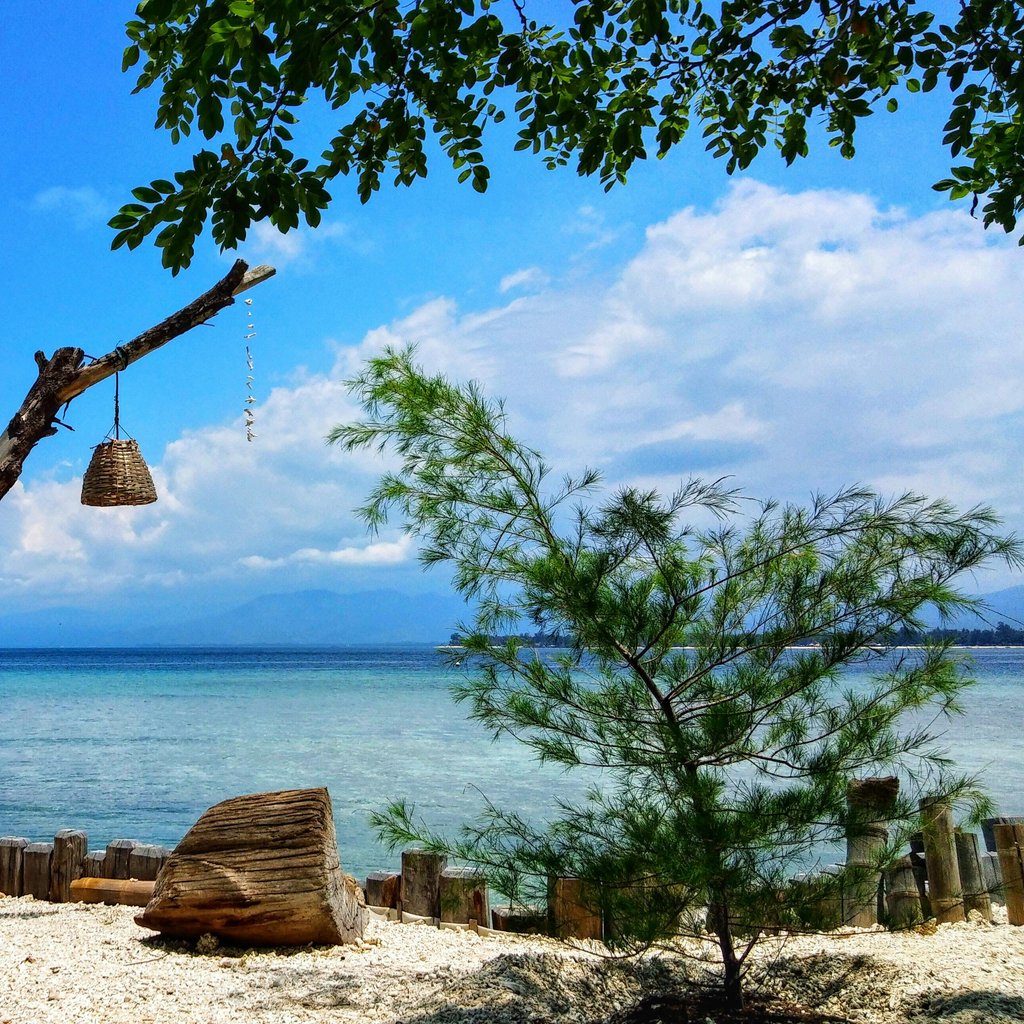 Serene beach setting in Pemenang, Indonesia with hanging basket, driftwood, and clear blue sea.