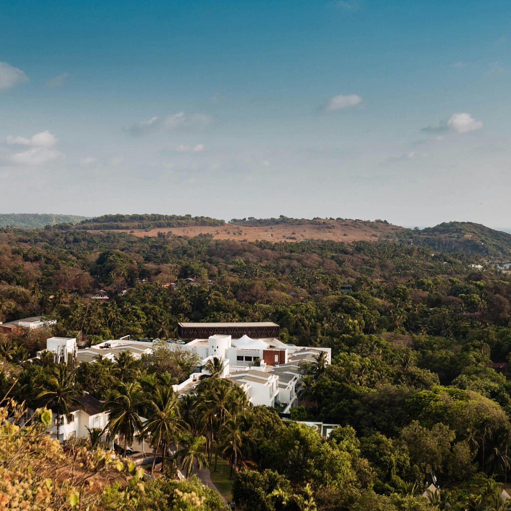 Scenic aerial view of Mandrem Beach in Goa, India, featuring lush greenery and coastline.