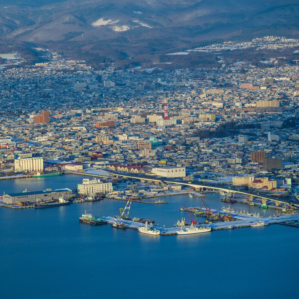 Aerial shot of Hakodate cityscape and port in winter, showcasing vibrant architecture.