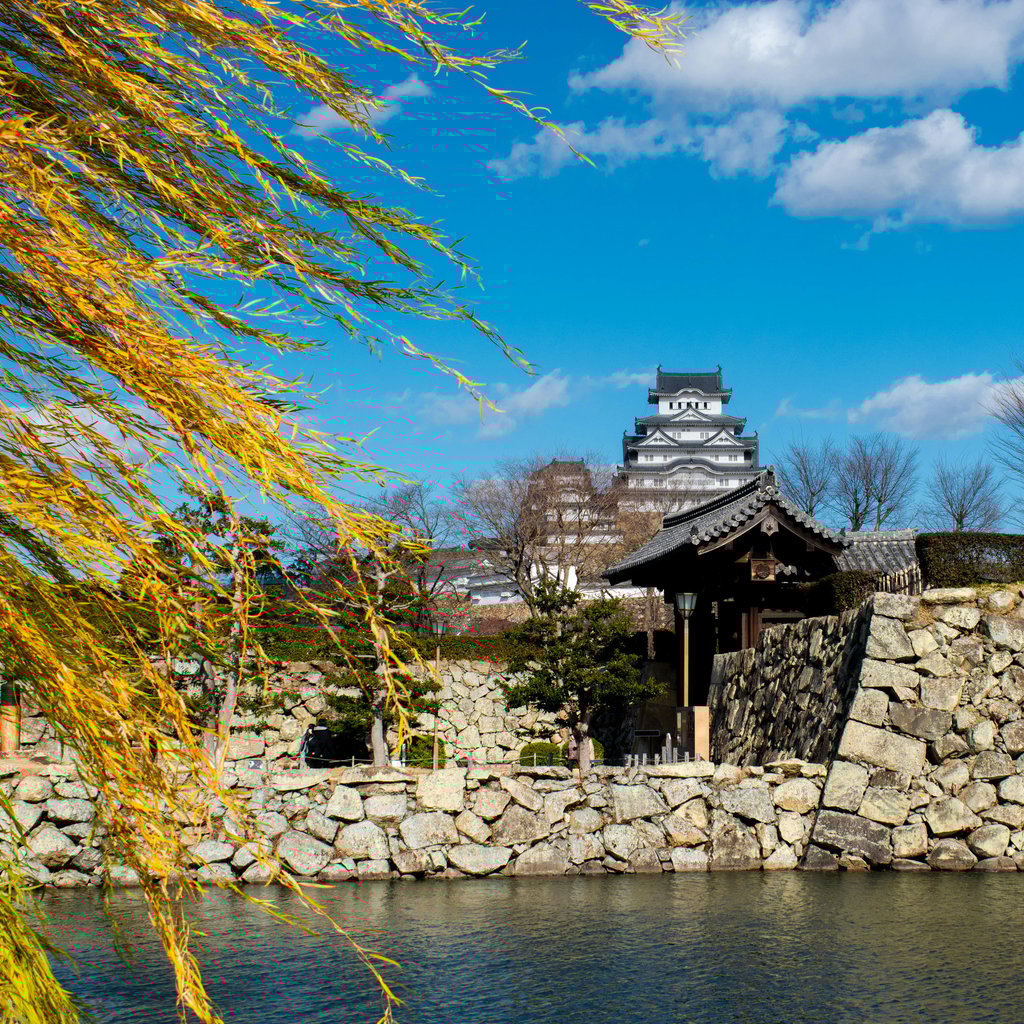 Beautiful view of Himeji Castle with a scenic foreground in Hyōgo, Japan.