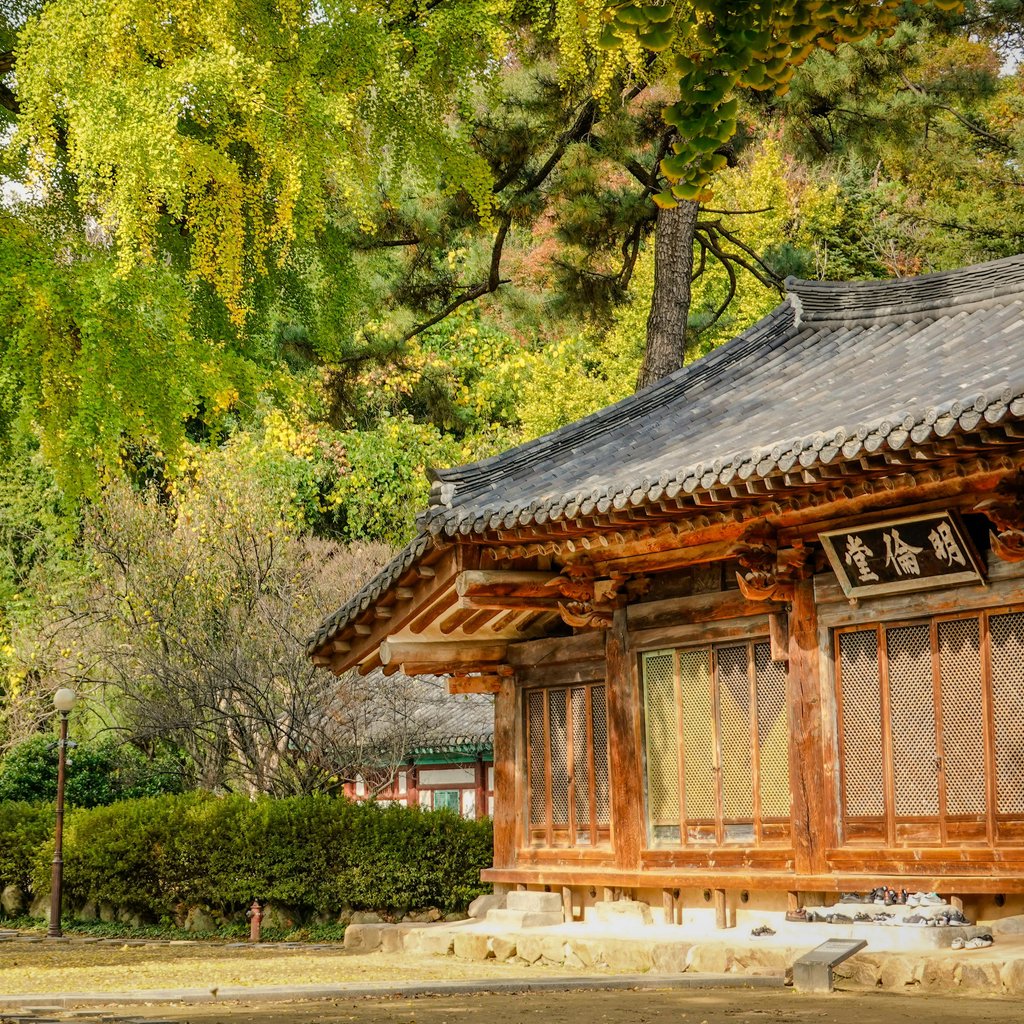 Beautiful autumn scene at Jeonju Hyanggyo with traditional Korean architecture.