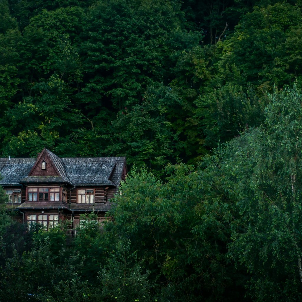 Charming wooden house surrounded by dense, verdant forest in Kazimierz Dolny, Poland.
