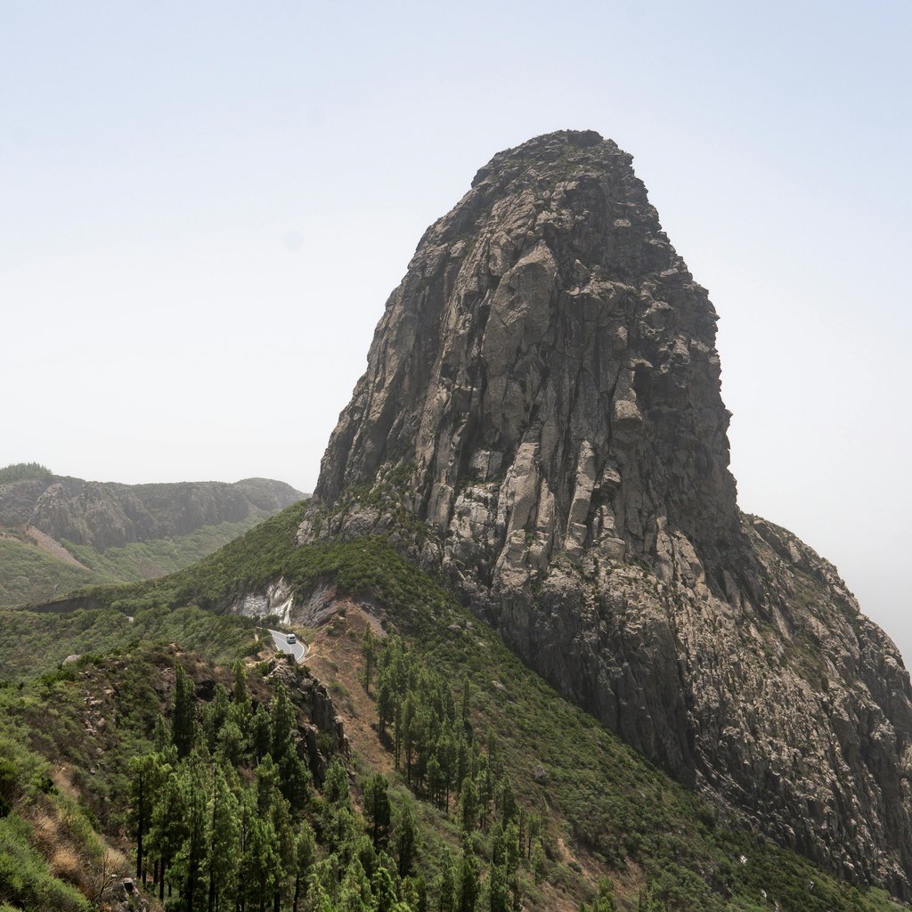 Discover the towering beauty of La Gomera's rock formations with lush green surroundings.