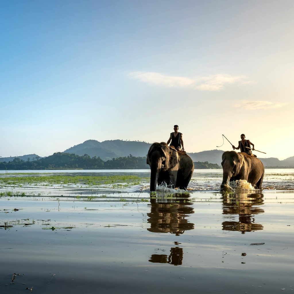 Two men riding elephants across a serene lake at sunset with mountain backdrop.