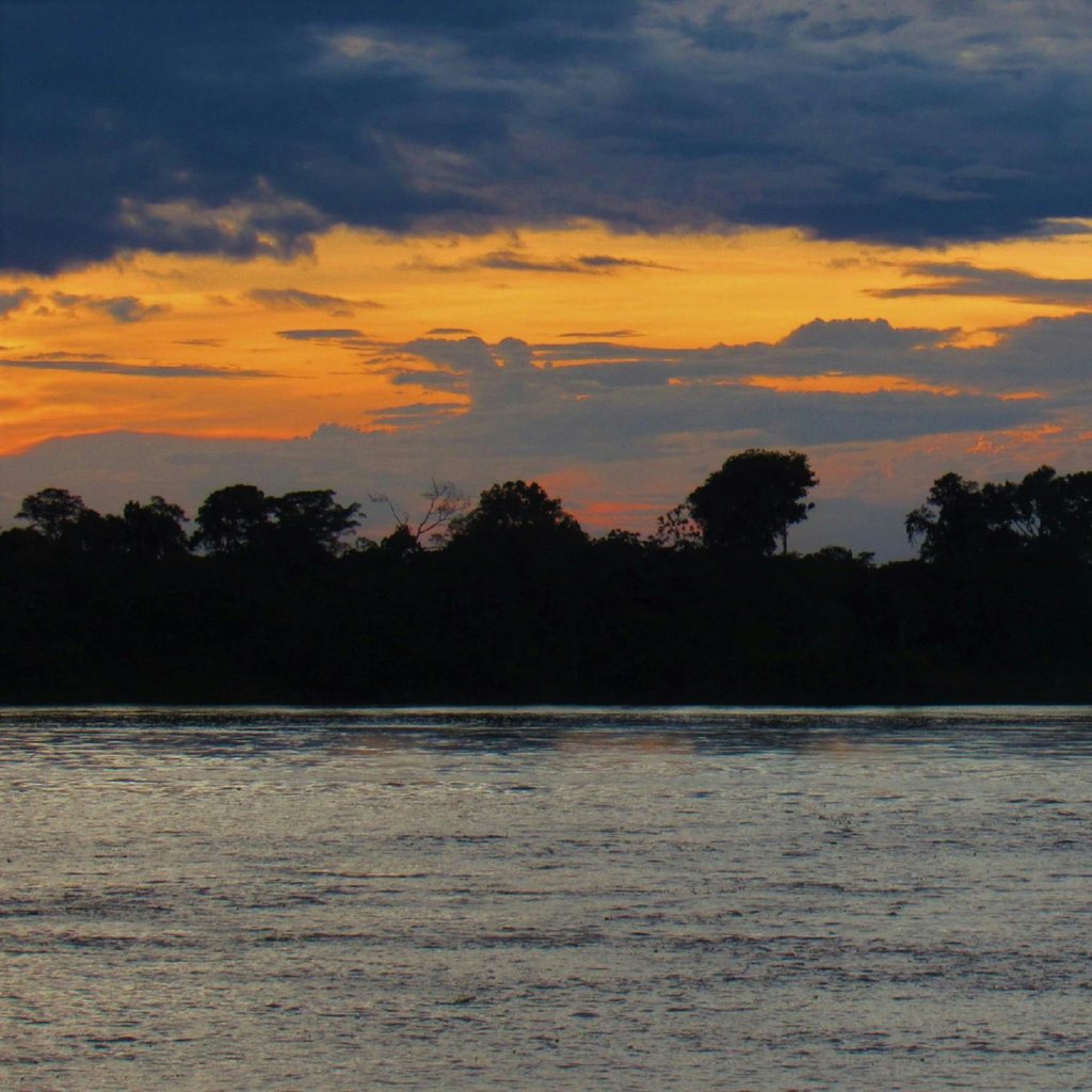 Stunning sunset over the Amazon River with a silhouette of trees near Leticia, Colombia.