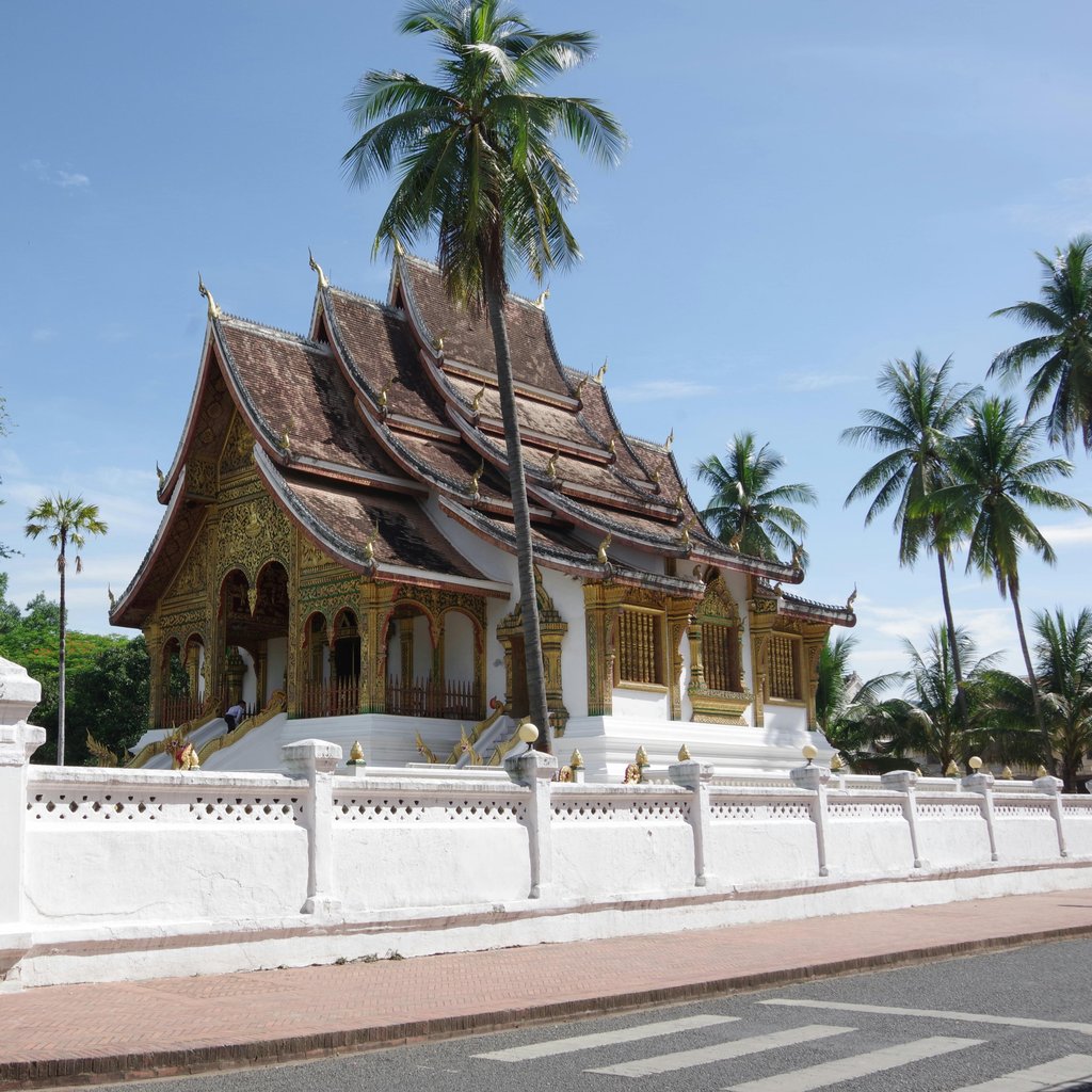 Explore the Royal Palace's intricate architecture surrounded by lush palms in Luang Prabang, Laos.
