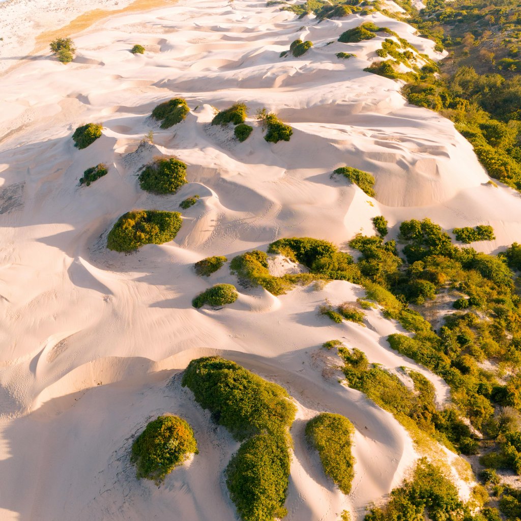Stunning aerial view of sand dunes and lush greenery in Malindi, Kenya.
