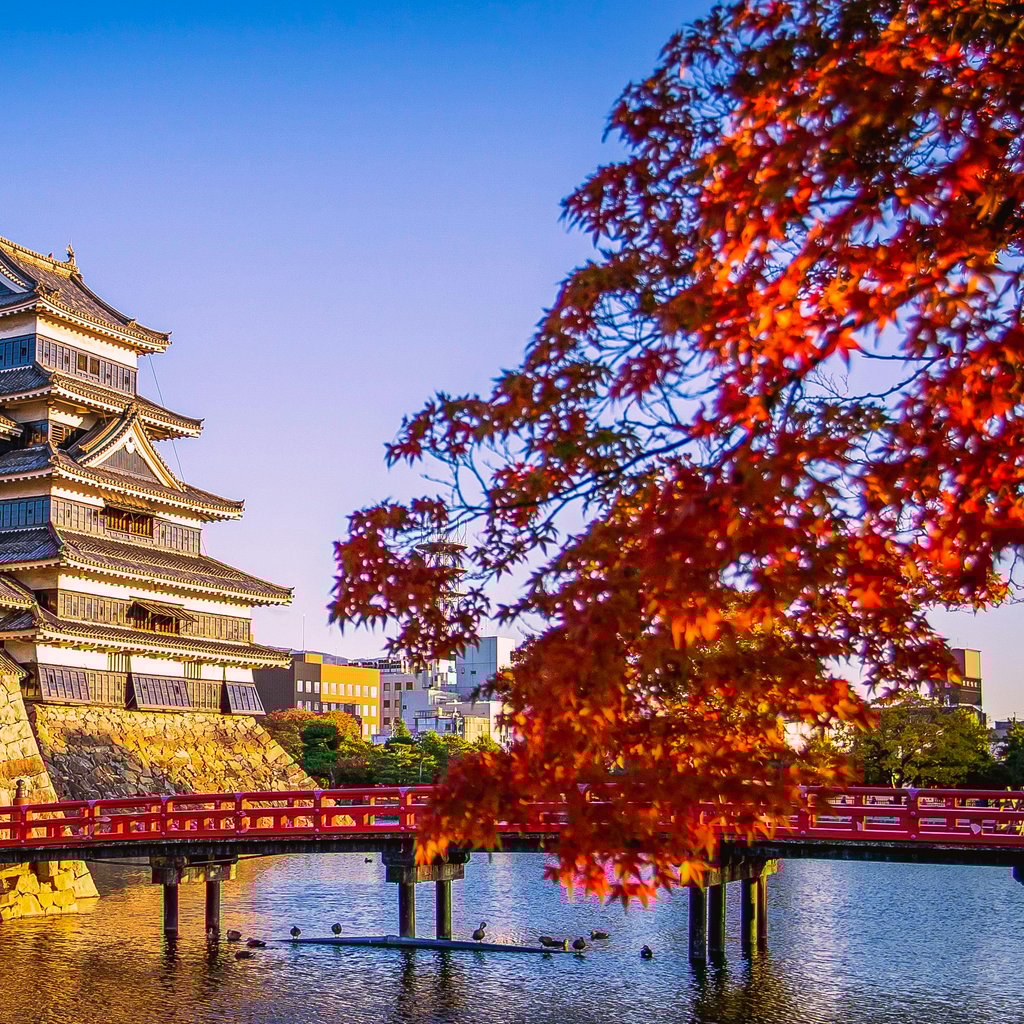 Scenic view of Matsumoto Castle with vibrant autumn foliage and a red bridge in Japan.