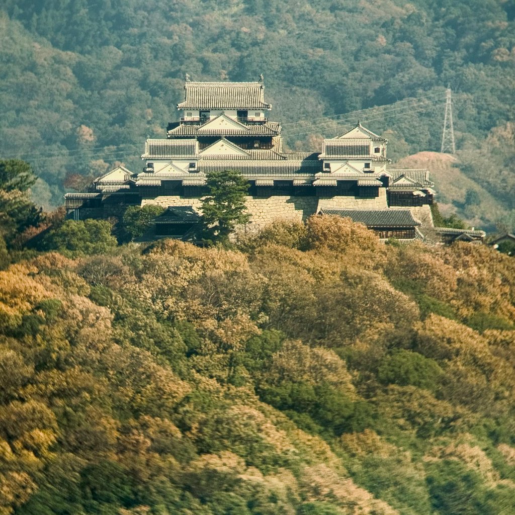 A stunning view of Matsuyama Castle amidst the lush forested hills in Ehime, Japan.