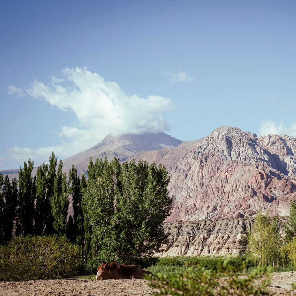 Scenic view of Uspallata's mountainous terrain with lush greenery, located in Mendoza, Argentina.
