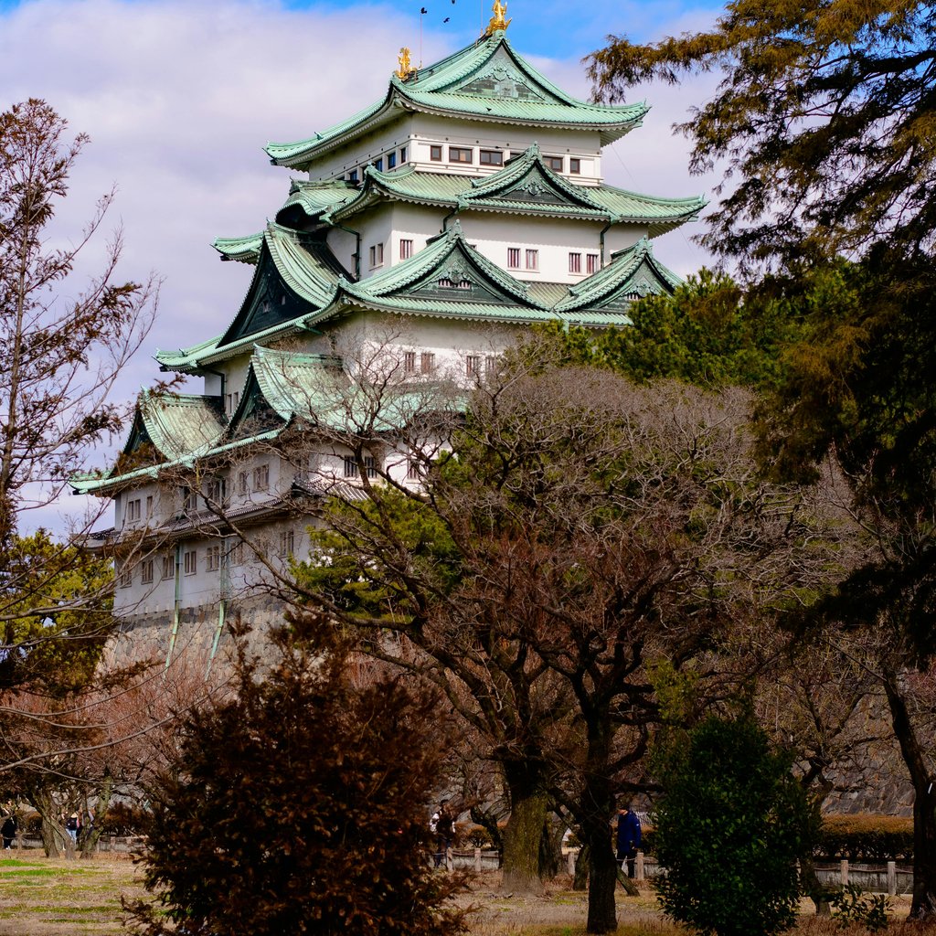 Beautiful capture of Nagoya Castle surrounded by trees under a blue sky.