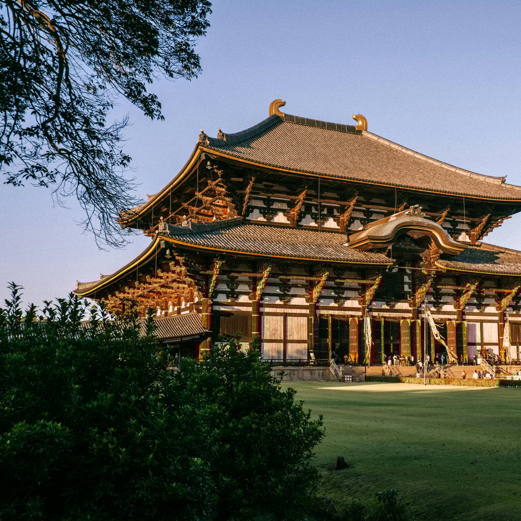 Stunning view of Todaiji Temple in Nara, Japan, with sunlight casting warm tones over the historic architecture.