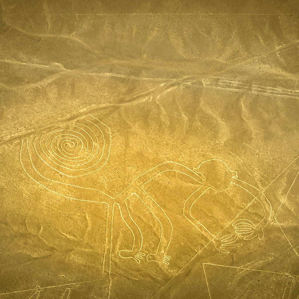 Detailed aerial shot of the Nazca Lines monkey geoglyph in Peru, showcasing ancient artistry.