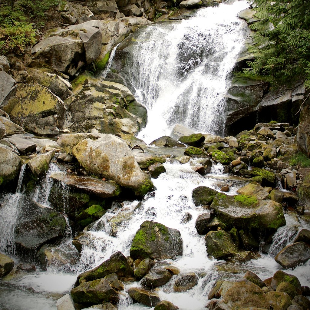A picturesque waterfall flowing over moss-covered rocks in Nelson, BC, Canada.