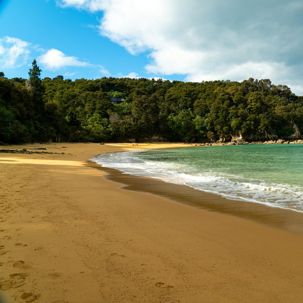 Serene coastal beach with golden sand and green waters, bordered by dense forest and clear skies.