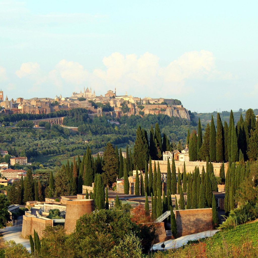 A breathtaking view of Orvieto, Italy showing rolling hills and iconic cypress trees in summer light.