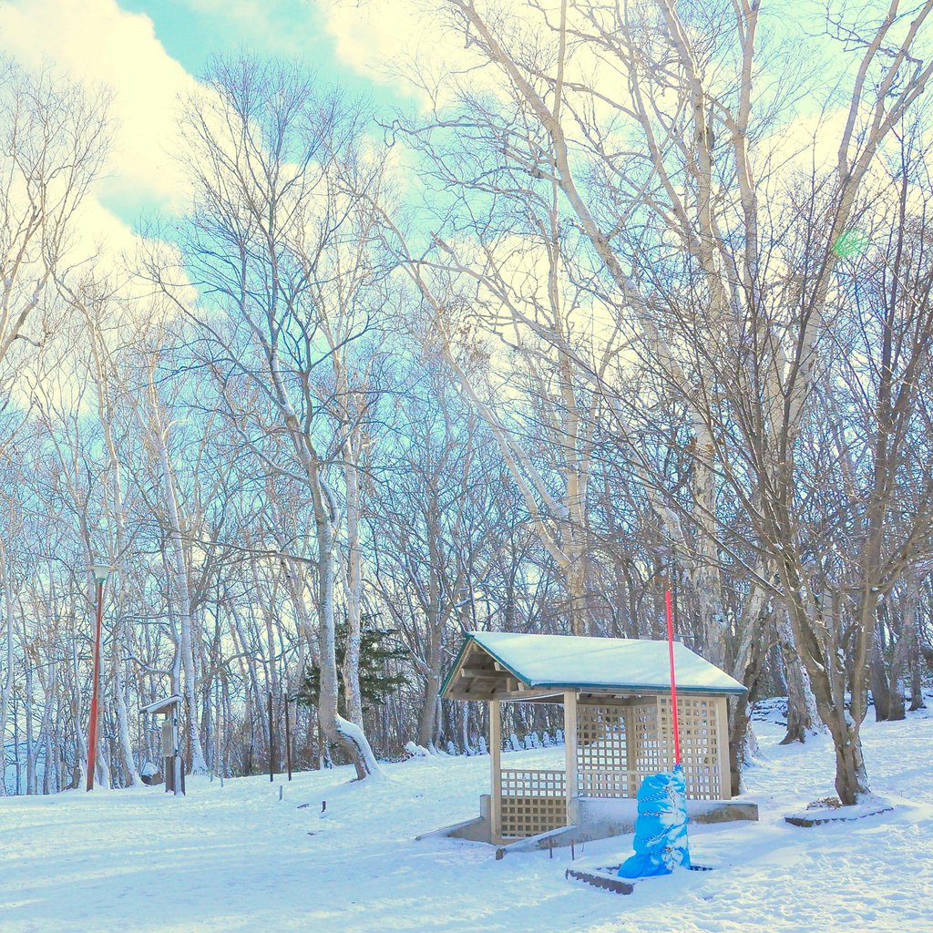 A serene snowy scene in Otaru, Hokkaido, Japan, featuring a forest and a wooden shelter.