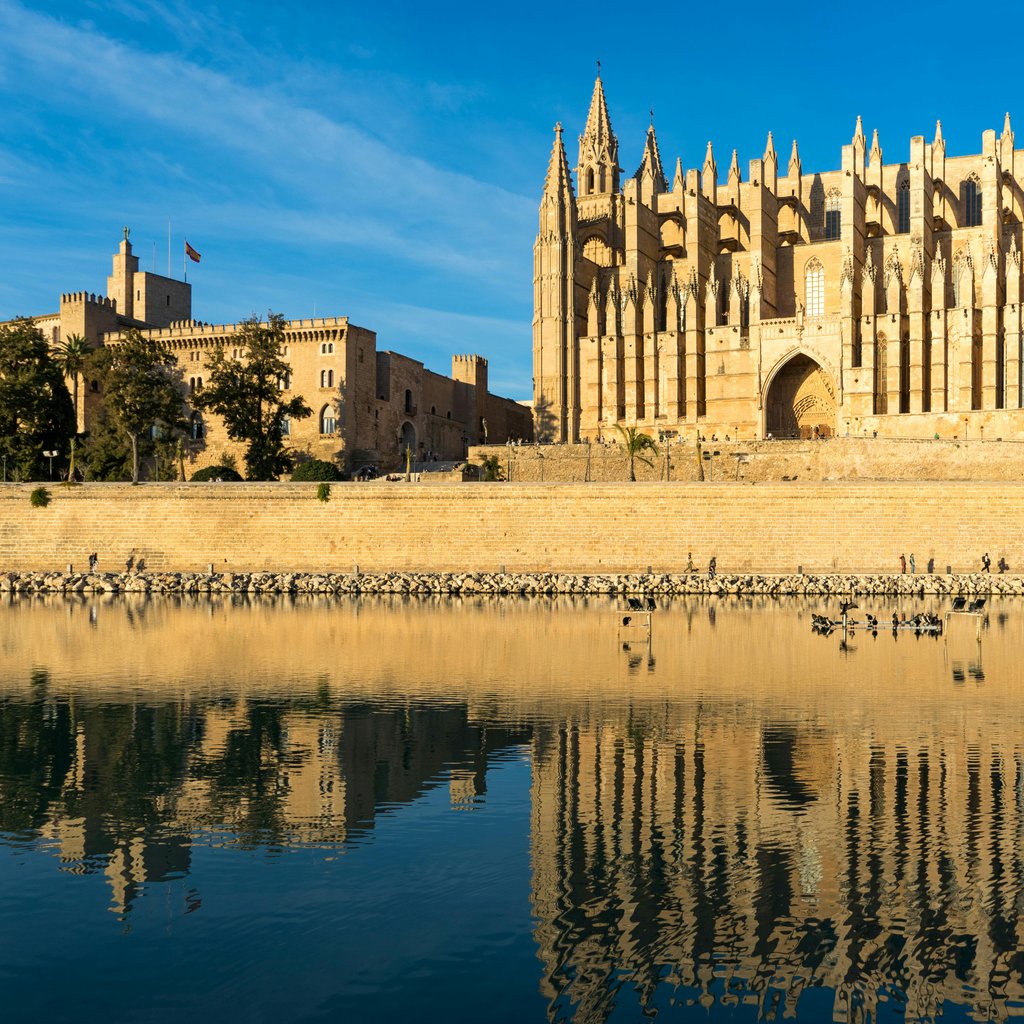 Stunning view of the Gothic Palma Cathedral reflecting in the water under a clear blue sky.